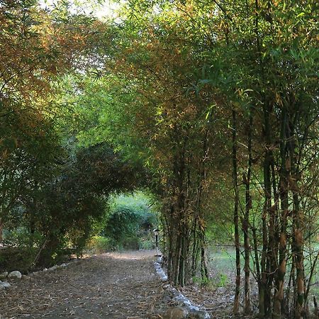 Parwati Wild Abode Corbett Resort Dhela Buitenkant foto