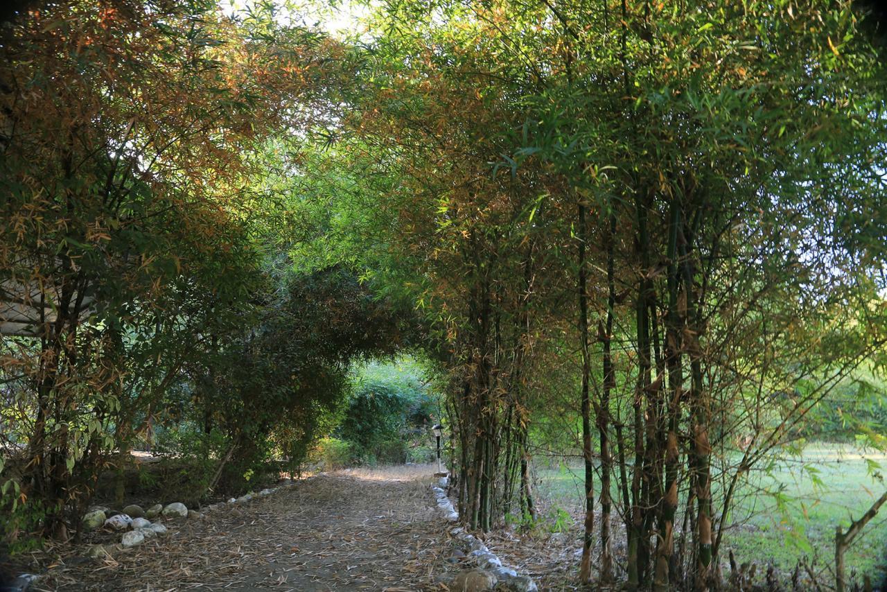 Parwati Wild Abode Corbett Resort Dhela Buitenkant foto